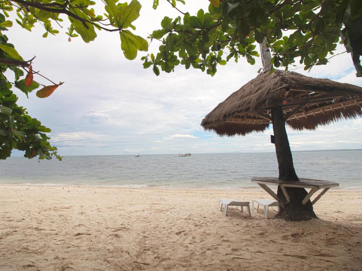 Oyo 853 Malapascua Beach And Dive Resort Ngoại thất bức ảnh
